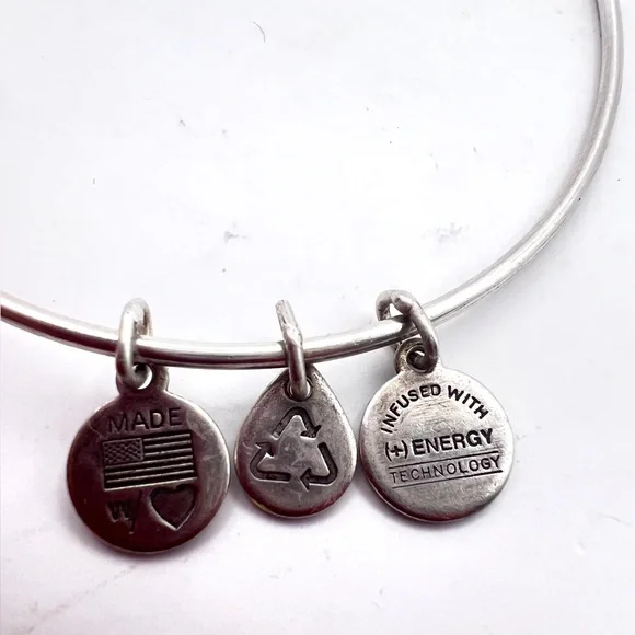 Alex and Ani Canada Maple Leaf Charm Bangle Bracelet Silver Tone 2014 - Picture 6 of 6